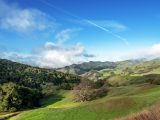 coastal hills near Cambria